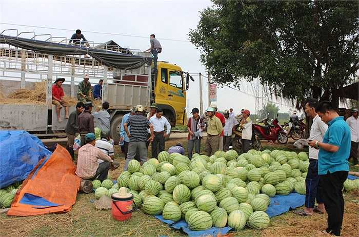 Kinh Nghiệm Vận Chuyển Dưa Hấu Từ Quảng Ngãi Ra Hà Nội